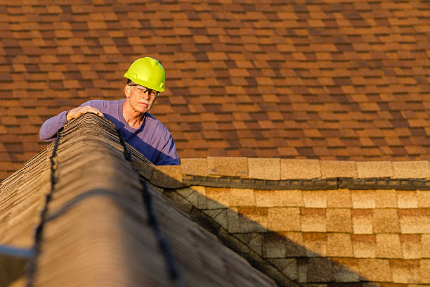 Best Roof Maintenance Services  in Hamburg, NJ