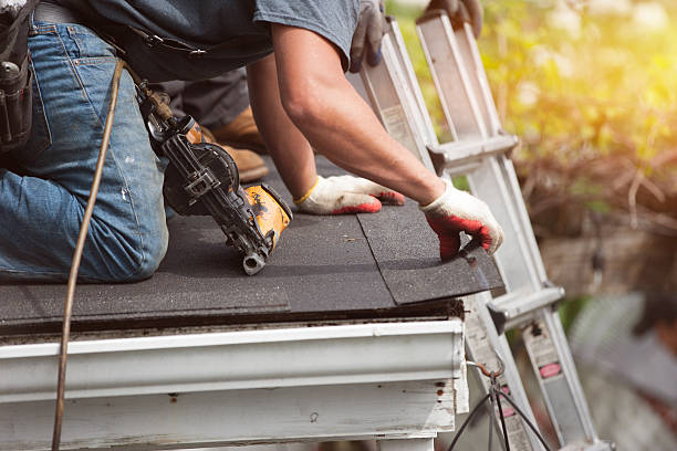 Best Local Roofing Companies  in Hamburg, NJ