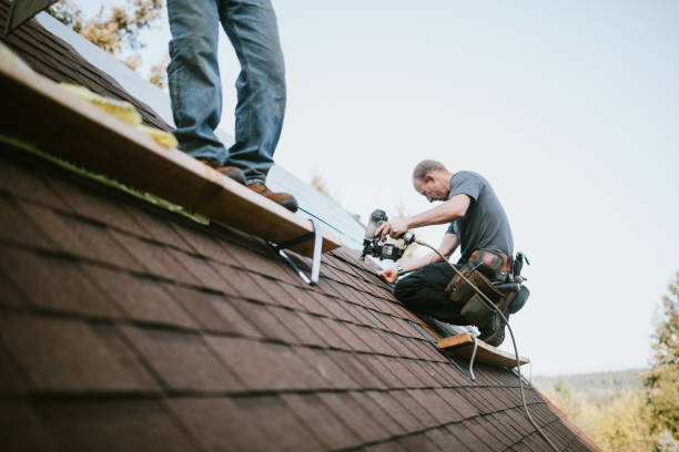 Best Roof Waterproofing Services  in Hamburg, NJ